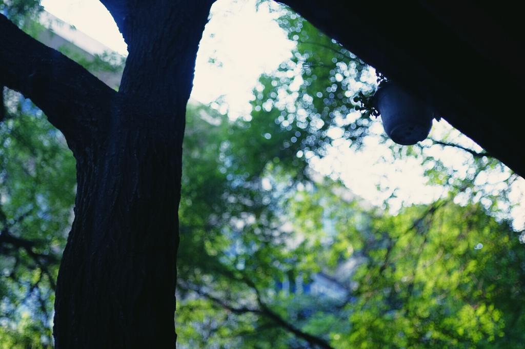 Xi'An Qindiao Youth Hostel ซีอาน ภายนอก รูปภาพ