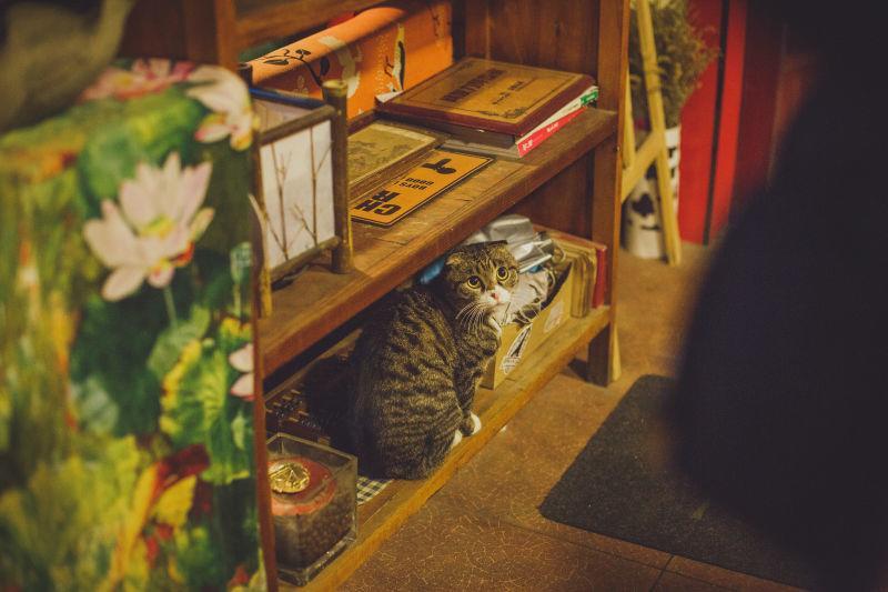 Xi'An Qindiao Youth Hostel ซีอาน ภายนอก รูปภาพ